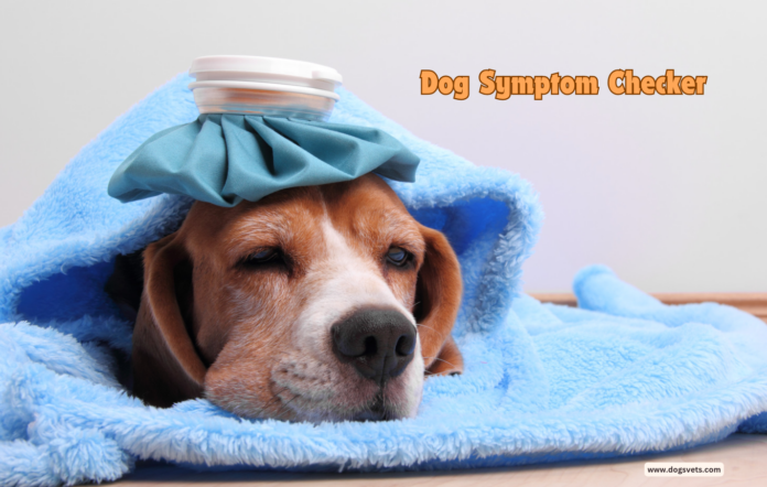 Understanding Dog Symptom Checker - Get Answers Now